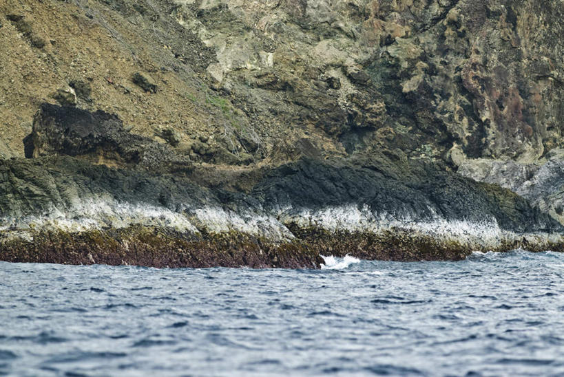 无人,横图,室外,白天,正面,旅游,度假,草地,草坪,海浪,海洋,礁石,石头,美景,水,植物,东京,日本,亚洲,波纹,飞溅,溅,石子,液体,景观,浪花,水滴,娱乐,水珠,草,树,树木,绿色,水纹,自然,海水,波浪,享受,休闲,景色,放松,生长,成长,喷洒,自然风光,海景,东亚,本州,关东地方,本州岛,日本国,东京都,大海,风浪,海,海水的波动,礁,近岸浪,石块,岩石,涌浪,彩图