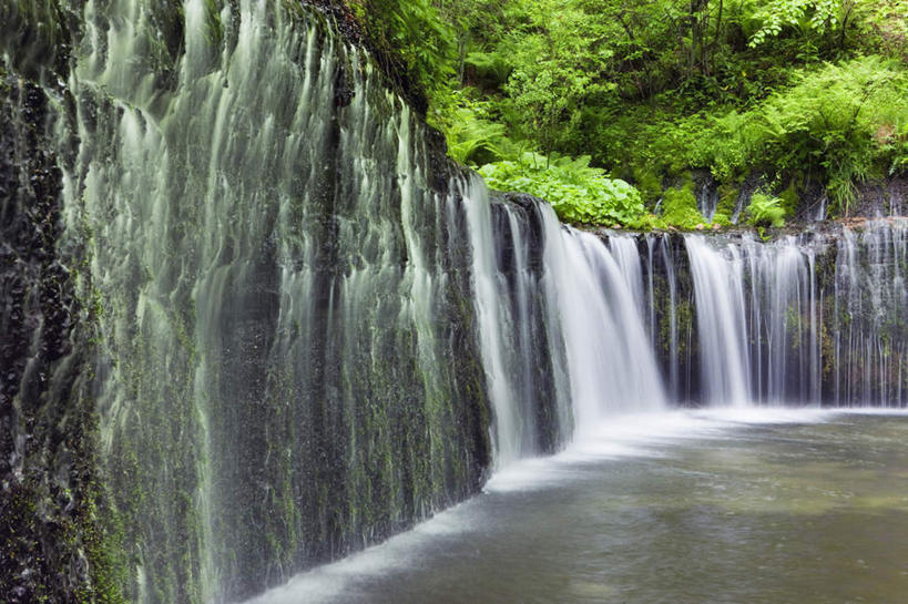 无人,横图,室外,白天,正面,旅游,度假,草地,草坪,美景,瀑布,森林,树林,水,植物,长野县,日本,亚洲,阴影,波纹,飞溅,溅,光线,液体,影子,景观,水滴,娱乐,水珠,草,树,树木,绿色,水纹,阳光,自然,波浪,享受,休闲,景色,放松,生长,成长,喷洒,自然风光,东亚,本州,本州岛,日本国,中部地方,长野,跌水,彩图