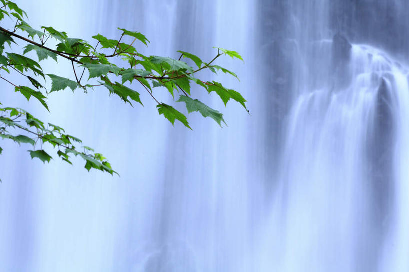 无人,横图,室外,白天,正面,旅游,度假,美景,瀑布,山,山脉,水,植物,叶子,长野县,日本,亚洲,阴影,飞溅,溅,光线,液体,影子,景观,山峰,水滴,绿叶,山峦,娱乐,水珠,树,树木,绿色,阳光,自然,群山,享受,休闲,嫩叶,景色,放松,生长,成长,喷洒,自然风光,东亚,本州,本州岛,日本国,中部地方,长野,叶,叶片,跌水,彩图