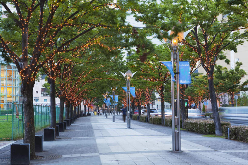 无人,高楼大厦,横图,室外,白天,正面,度假,美景,植物,城市风光,城市,大厦,道路,建筑,路,摩天大楼,指示牌,照明,日本,圣诞节,亚洲,许多,阴影,节日,庆祝,光线,标志,彩灯,文字,影子,景观,小路,灯光,交通,文化,娱乐,标识,灯,树,树木,绿色,阳光,自然,灯具,庆典,享受,休闲,景色,放松,花灯,乡间小路,生长,成长,纪念,照亮,照明设备,东亚,本州,本州岛,日本国,近畿地方,近畿,兵库,兵库县,彩图,大楼,高层建筑,高楼,摩天楼