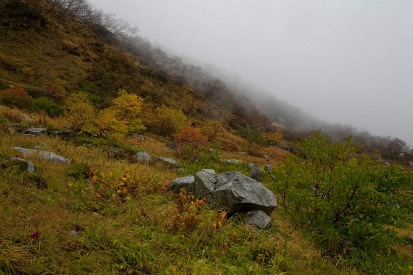 无人,横图,俯视,室外,白天,旅游,度假,草地,草坪,礁石,石头,美景,森林,山,山脉,树林,植物,雾,长野县,日本,亚洲,朦胧,模糊,石子,景观,山峰,山峦,娱乐,草,树,树木,绿色,自然,群山,享受,休闲,景色,放松,生长,成长,迷雾,自然风光,东亚,本州,本州岛,日本国,中部地方,长野,礁,石块,岩石,大雾,彩图,高角度拍摄
