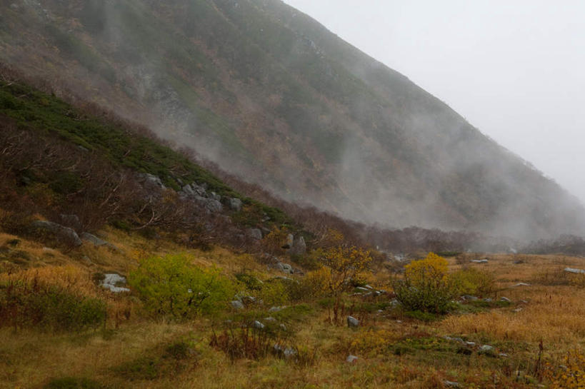 无人,横图,俯视,室外,白天,旅游,度假,草地,草坪,礁石,石头,美景,森林,山,山脉,树林,植物,雾,长野县,日本,亚洲,朦胧,模糊,石子,景观,山峰,山峦,娱乐,草,树,树木,绿色,自然,群山,享受,休闲,景色,放松,生长,成长,迷雾,自然风光,东亚,本州,本州岛,日本国,中部地方,长野,礁,石块,岩石,大雾,彩图,高角度拍摄