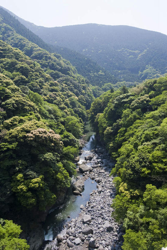 无人,竖图,俯视,室外,白天,旅游,度假,草地,草坪,河流,礁石,石头,美景,森林,山,山脉,树林,水,植物,日本,亚洲,阴影,光线,石子,影子,河水,景观,山峰,水流,云,云朵,山峦,云彩,娱乐,草,树,树木,蓝色,绿色,白云,蓝天,天空,小溪,阳光,自然,群山,天,溪水,享受,休闲,景色,放松,生长,成长,自然风光,东亚,日本国,九州本岛,九州,九州岛,九州地方,熊本,熊本县,礁,石块,岩石,彩图,高角度拍摄