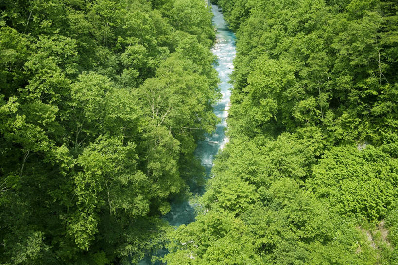 无人,横图,俯视,室外,白天,旅游,度假,草地,草坪,河流,美景,水,植物,北海道,日本,亚洲,阴影,波纹,光线,影子,河水,景观,水流,娱乐,草,树,树木,绿色,水纹,小溪,阳光,自然,波浪,溪水,享受,休闲,景色,放松,生长,成长,自然风光,东亚,日本国,北海道地方,北海道岛,彩图,高角度拍摄