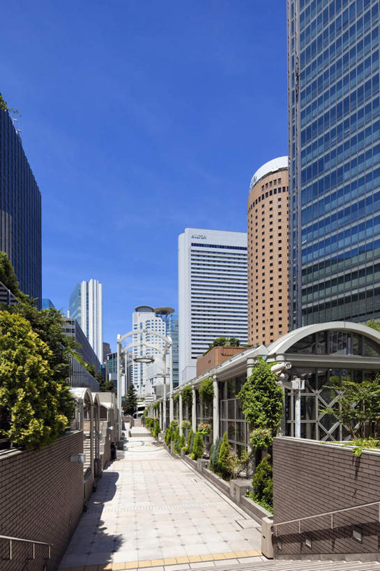 无人,高楼大厦,竖图,室外,白天,正面,度假,草地,草坪,美景,植物,城市风光,城市,大厦,道路,建筑,路,路灯,摩天大楼,公路,照明,日本,亚洲,一排,许多,阴影,整齐,光线,影子,景观,云,云朵,灯光,交通,云彩,娱乐,灯,草,树,树木,排列,蓝色,绿色,白云,蓝天,天空,阳光,自然,天,享受,休闲,景色,放松,大阪,生长,成长,照亮,照明设备,队列,东亚,本州,大阪府,本州岛,日本国,近畿地方,近畿,马路,彩图,大楼,高层建筑,高楼,摩天楼