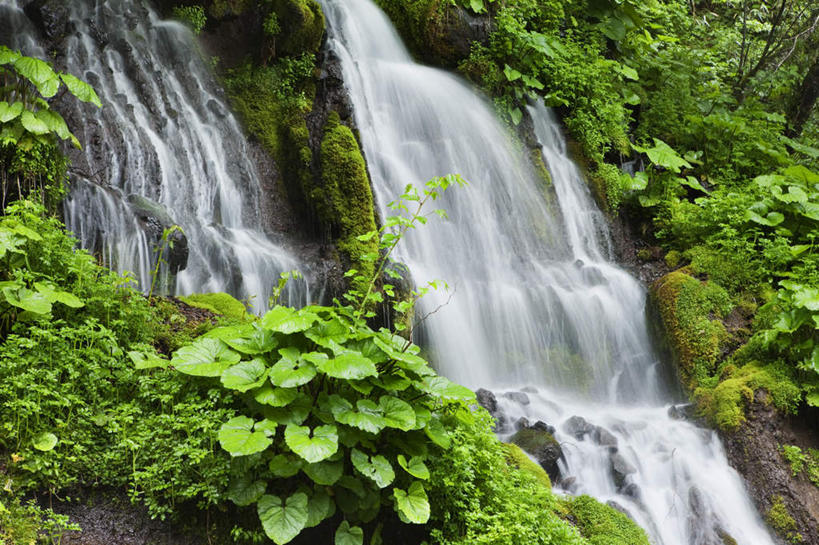 无人,横图,室外,白天,正面,旅游,度假,草地,草坪,美景,瀑布,森林,山,山脉,树林,水,植物,日本,亚洲,阴影,波纹,飞溅,溅,光线,液体,影子,景观,山峰,水滴,山峦,娱乐,水珠,草,树,树木,绿色,水纹,阳光,自然,波浪,群山,享受,休闲,景色,放松,生长,成长,喷洒,自然风光,东亚,本州,本州岛,日本国,中部地方,山梨,山梨县,跌水,彩图