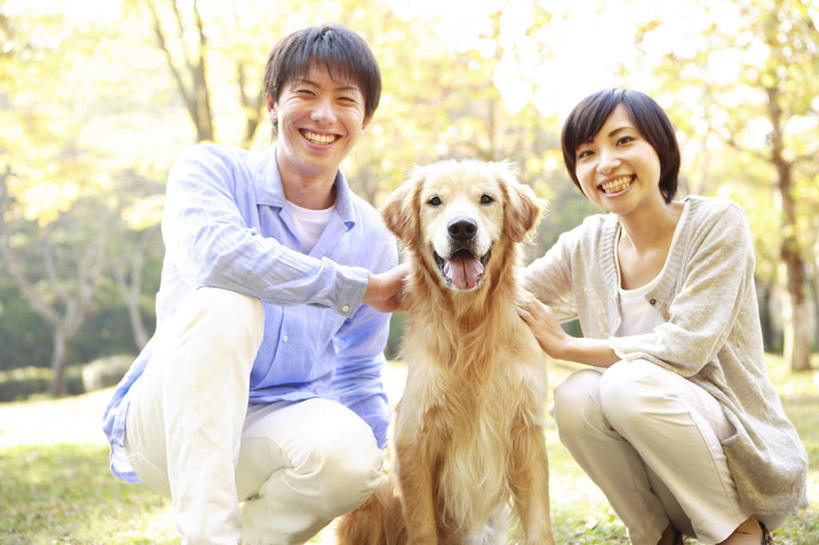 东方人,头发,两个人,家庭,夫妻,坐,蹲,笑,摸,微笑,露齿笑,横图,室外,白天,正面,爱情,旅游,度假,草地,草坪,植物,宠物,狗,亚洲,抚摸,阴影,服装,光线,影子,云,云朵,浪漫,云彩,注视,休闲装,黄种人,娱乐,金毛犬,吐舌头,草,树,树木,一只,衣服,黄色,蓝色,绿色,白色,黑色,白云,蓝天,天空,阳光,自然,动物,天,观察,看,张嘴,享受,休闲,温暖,温馨,一家人,休闲服,恩爱,放松,可爱,恋人,服饰,金毛,生长,成长,观看,和睦,察看,关注,寻回犬,张大嘴巴,金毛寻回犬,忠诚,男人,男性,年轻男性,年轻女性,女人,女性,亚洲人,夫妇,情侣,张开嘴,犬,触摸,蹲着,接触,坐着,半身,彩图,伴侣,融洽