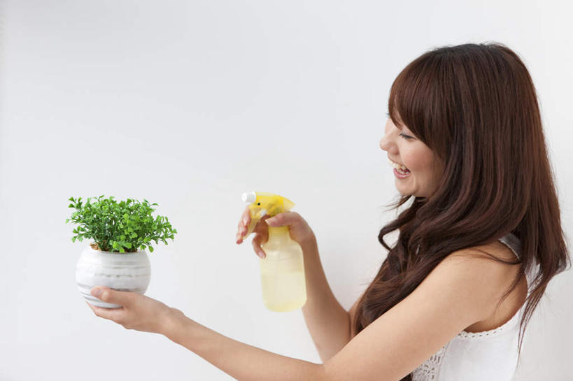 东方人,头发,一个人,站,捧,笑,摸,微笑,露齿笑,横图,室内,白天,白色背景,侧面,植物,叶子,亚洲,仅一个年轻女性,仅一个女性,仅一个人,抚摸,握,服装,壶,盆栽,绿叶,盆景,拿,洒水壶,拿着,注视,休闲装,黄种人,水壶,一个,衣服,黄色,绿色,白色,黑色,自然,观察,看,站着,休闲,休闲服,嫩叶,握着,摄影,服饰,影棚,生长,单个,成长,观看,察看,关注,浇水壶,年轻女性,女人,女性,亚洲人,长发,叶,叶片,触摸,端,端着,接触,捧着,手捧,站立,半身,彩图,影棚拍摄,拍摄