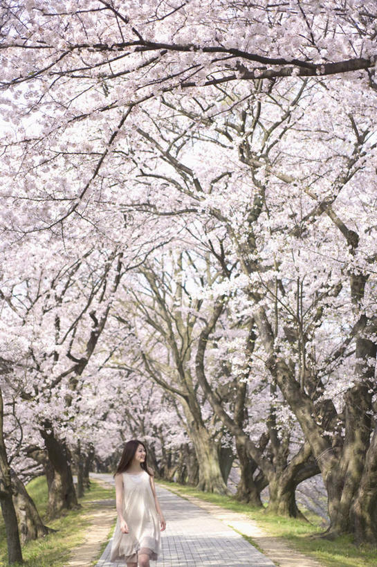 东方人,一个人,走,笑,微笑,露齿笑,竖图,室外,白天,仰视,旅游,度假,草地,草坪,美景,树林,植物,道路,路,樱花,叶子,亚洲,仅一个年轻女性,仅一个女性,仅一个人,许多,阴影,光线,影子,景观,小路,交通,注视,黄种人,娱乐,草,树,树木,蓝色,绿色,蓝天,天空,阳光,自然,天,观察,看,享受,休闲,景色,放松,乡间小路,生长,晴朗,成长,观看,察看,关注,自然风光,万里无云,仙樱花,福岛樱,青肤樱,年轻女性,女人,女性,亚洲人,叶,晴空,晴空万里,荆桃,步行,散步,走路,半身,彩图,低角度拍摄