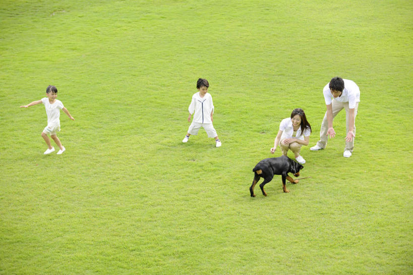 东方人,儿童,家庭,夫妻,母亲,父亲,女儿,站,蹲,跑,笑,微笑,露齿笑,横图,俯视,室外,白天,爱情,锻炼,游戏,纯洁,运动,草地,草坪,植物,宠物,狗,亚洲,浪漫,玩,黄种人,娱乐,草,小孩,绿色,动物,站着,休闲,温暖,温馨,父女,母女,一家人,恩爱,父爱,可爱,母爱,童年,童趣,恋人,活动,和睦,发泄,消遣,智力,童真,烂漫,无邪,忠诚,宣泄,体育,天真,男人,男性,年轻男性,年轻女性,女孩,女人,女性,亚洲人,孩子,年轻人,夫妇,情侣,犬,蹲着,跑步,玩耍,嬉戏,站立,彩图,高角度拍摄,全身,健身,伴侣,融洽,女生