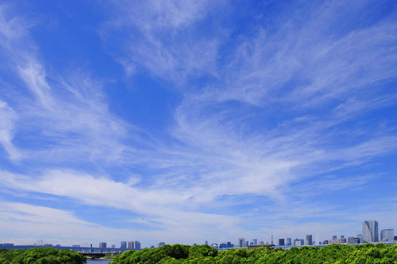 无人,高楼大厦,横图,室外,白天,仰视,度假,美景,树林,植物,城市风光,城市,大厦,建筑,摩天大楼,许多,景观,云,云朵,云彩,娱乐,建设,树,树木,蓝色,绿色,白云,蓝天,天空,天,享受,休闲,景色,放松,生长,晴朗,成长,晴空,彩图,低角度拍摄,大楼,高层建筑,高楼,摩天楼