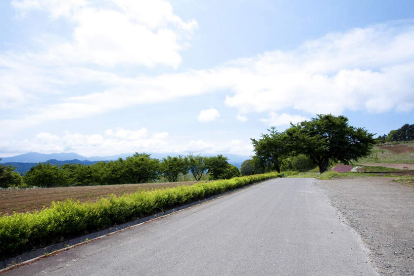 无人,横图,室外,白天,仰视,旅游,度假,草地,草坪,美景,树林,植物,道路,路,公路,长野县,日本,亚洲,许多,景观,云,云朵,交通,云彩,娱乐,草,树,树木,蓝色,绿色,白云,蓝天,天空,自然,天,享受,休闲,景色,放松,生长,晴朗,成长,自然风光,东亚,本州,本州岛,日本国,中部地方,长野,晴空,马路,彩图,低角度拍摄