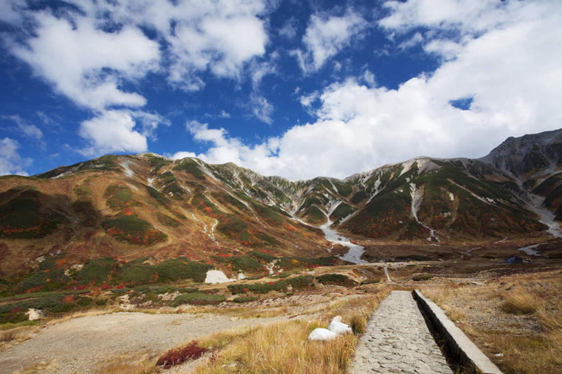 无人,栏杆,横图,俯视,航拍,室外,白天,旅游,度假,火山,美景,山,树林,植物,道路,路,富山县,日本,亚洲,许多,阴影,光线,影子,景观,山峰,云,云朵,围栏,小路,交通,山峦,云彩,娱乐,护栏,树,树木,蓝色,绿色,白云,蓝天,天空,阳光,自然,天,享受,休闲,景色,放松,生长,晴朗,成长,鸟瞰,自然风光,东亚,本州,本州岛,日本国,中部地方,富山,活火山,死火山,休眠火山,晴空,彩图,高角度拍摄,地狱谷