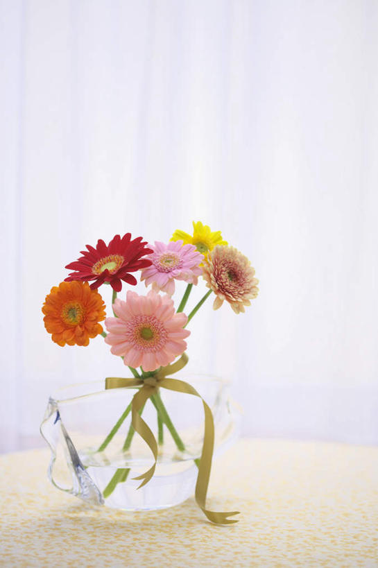 无人,竖图,室内,特写,白天,正面,植物,窗帘,桌子,花瓶,许多,阴影,朦胧,模糊,盛开,光线,影子,非洲菊,玻璃制品,花,花瓣,花朵,花卉,鲜花,黄色,红色,阳光,玻璃瓶,瓶子,花蕊,菊花,扶郎花,灯盏花,千日菊,彩图