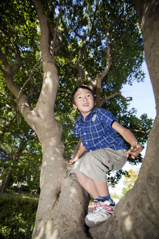 东方人,儿童,一个人,站,笑,微笑,露齿笑,竖图,室外,白天,仰视,纯洁,美景,植物,亚洲,仅一个男性,仅一个人,一棵,阴影,服装,光线,影子,景观,枝条,注视,休闲装,黄种人,树,树干,树木,树枝,小孩,衣服,蓝色,绿色,蓝天,天空,阳光,自然,天,观察,看,站着,仅一个小孩,休闲,休闲服,景色,可爱,童年,童趣,搭,服饰,生长,晴朗,成长,观看,察看,搭着,关注,自然风光,童真,烂漫,无邪,万里无云,天真,男孩,男人,男性,亚洲人,孩子,晴空,晴空万里,站立,彩图,低角度拍摄,全身,男生