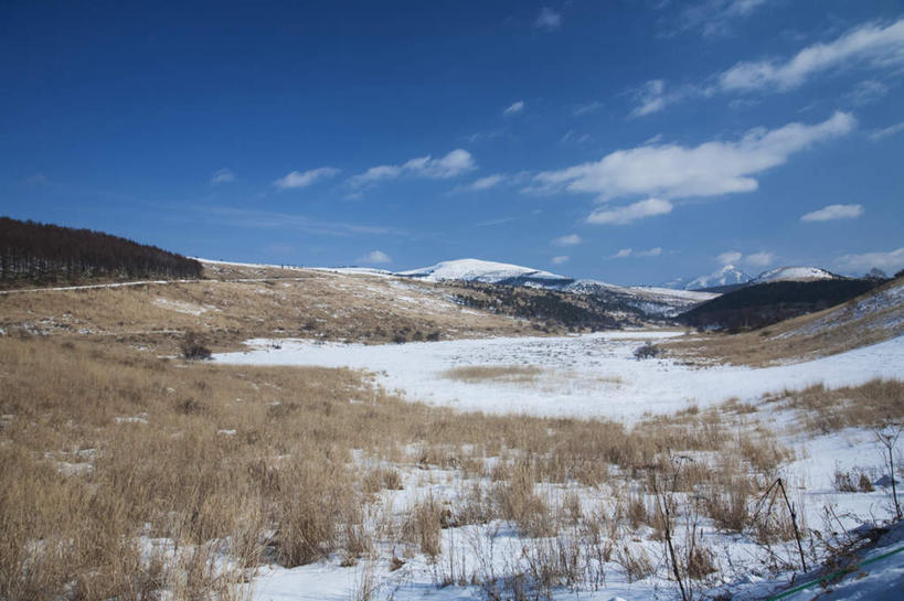 无人,横图,室外,白天,正面,旅游,度假,美景,山,树林,雪,植物,大雪,长野县,日本,亚洲,许多,枯萎,积雪,景观,山峰,雪景,云,云朵,冬季,冬天,枯草,山峦,云彩,娱乐,草,树,树木,黄色,蓝色,绿色,白云,蓝天,天空,自然,天,享受,休闲,景色,放松,寒冷,生长,晴朗,成长,沼泽,自然风光,东亚,本州,本州岛,日本国,中部地方,长野,严寒,晴空,彩图
