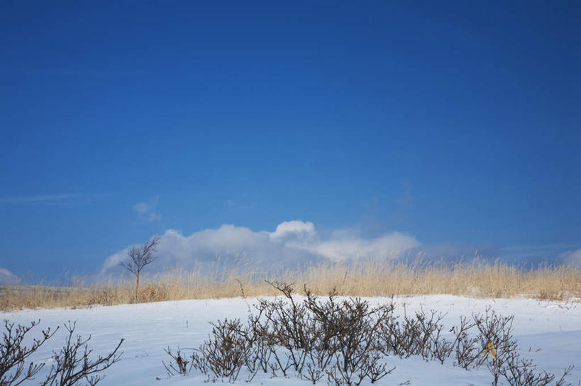 无人,横图,俯视,航拍,室外,白天,旅游,度假,美景,山,树林,雪,植物,大雪,富山县,日本,亚洲,许多,积雪,景观,山峰,雪景,云,云朵,冬季,冬天,山峦,云彩,娱乐,树,树木,蓝色,绿色,白云,蓝天,天空,自然,天,享受,休闲,景色,放松,寒冷,生长,晴朗,成长,鸟瞰,自然风光,东亚,本州,本州岛,日本国,中部地方,严寒,富山,晴空,彩图,高角度拍摄