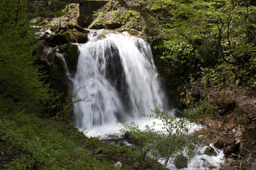 无人,横图,俯视,室外,白天,旅游,度假,石头,美景,瀑布,树林,水,植物,富山县,日本,亚洲,许多,飞溅,溅,石子,液体,景观,水滴,娱乐,水珠,树,树木,绿色,自然,享受,休闲,景色,放松,生长,成长,喷洒,自然风光,东亚,本州,本州岛,日本国,中部地方,富山,跌水,石块,岩石,彩图,高角度拍摄