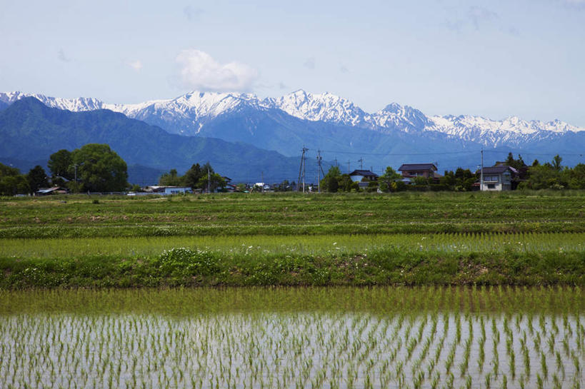 无人,家,农田,横图,室外,白天,仰视,旅游,度假,农业,庄稼,农作物,美景,山,树林,雪,植物,大雪,长野县,日本,亚洲,许多,房屋,屋子,稻田,积雪,景观,山峰,雪景,云,云朵,冬季,冬天,山峦,云彩,娱乐,楼房,住宅,树,树木,蓝色,绿色,白云,蓝天,天空,自然,天,享受,休闲,景色,放松,寒冷,生长,晴朗,成长,自然风光,东亚,本州,本州岛,日本国,中部地方,长野,严寒,晴空,彩图,低角度拍摄,耕地,庄稼田,房子