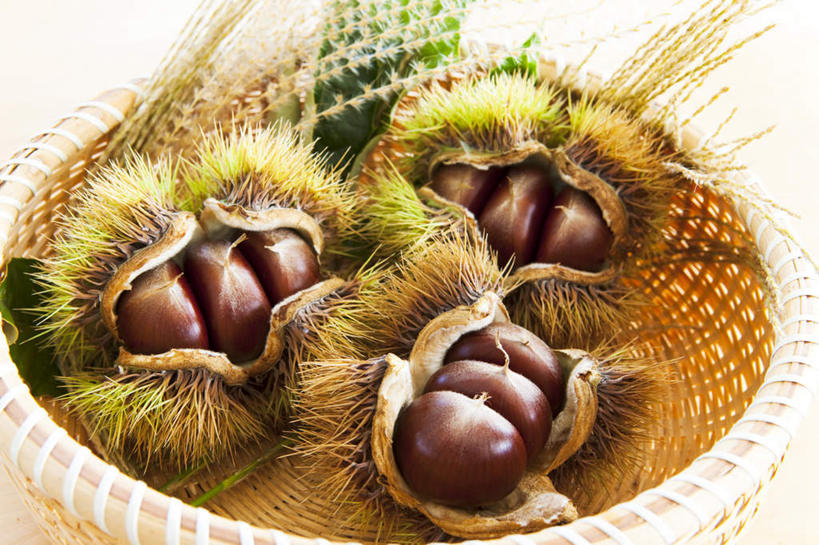 无人,横图,俯视,室内,特写,白天,餐桌,桌面,桌子,许多,竹制,木制,篮子,板栗,栗子,坚果,毛栗子,果壳,三个,木制品,毛茸茸,餐台,竹制品,毛栗,栗果,栗楔,彩图,高角度拍摄