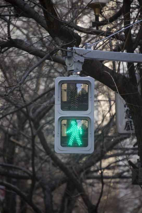 无人,竖图,室外,特写,白天,仰视,安全,植物,东京,日本,亚洲,信号灯,交通,树,树木,蓝色,绿色,蓝天,天空,自然,天,警示,生长,晴朗,成长,提示,流通,东亚,交通信号灯,本州,万里无云,关东地方,本州岛,日本国,东京都,晴空,晴空万里,彩图,低角度拍摄