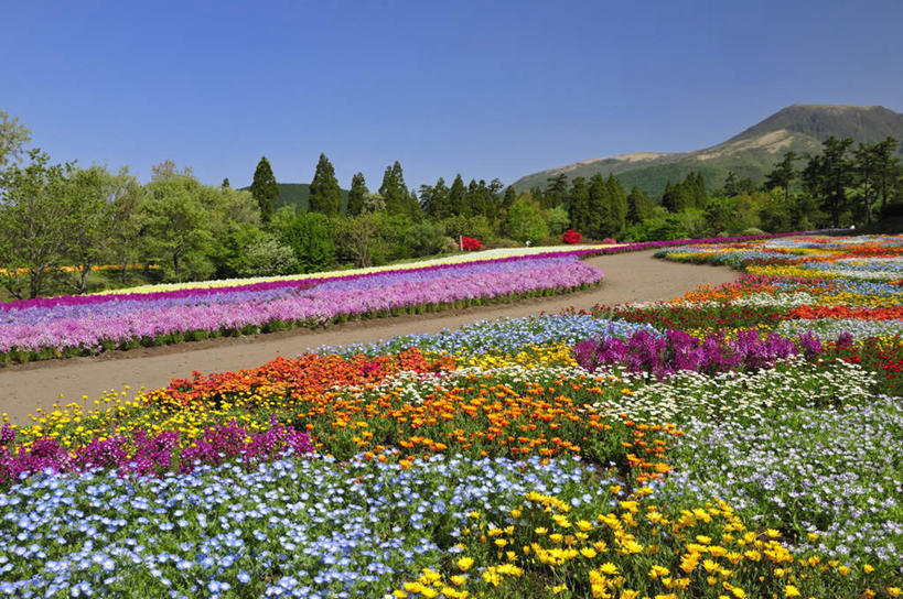 无人,横图,俯视,室外,白天,旅游,度假,美景,山,山脉,树林,植物,道路,路,日本,亚洲,许多,阴影,盛开,光线,影子,景观,山峰,小路,交通,山峦,花蕾,娱乐,花,花瓣,花朵,鲜花,树,树木,粉色,黄色,红色,蓝色,绿色,蓝天,天空,自然,群山,天,花苞,花蕊,享受,休闲,景色,放松,生长,成长,自然风光,东亚,日本国,九州本岛,九州,九州岛,九州地方,熊本,熊本县,彩图,高角度拍摄