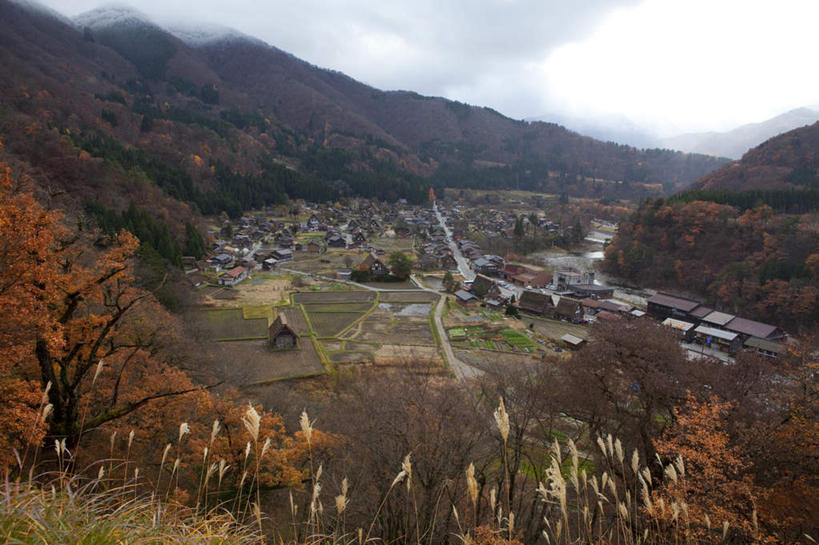 无人,家,横图,俯视,航拍,室外,白天,旅游,度假,美景,秋季,树林,植物,城市风光,城市,建筑,叶子,日本,亚洲,许多,阴影,光线,影子,房屋,屋子,景观,云,云朵,公寓,建筑群,枯叶,落叶,云彩,娱乐,建设,洋房,楼房,住宅,树,树木,红色,蓝色,绿色,白云,蓝天,天空,阳光,自然,天,享受,休闲,景色,放松,生长,晴朗,成长,鸟瞰,东亚,本州,本州岛,日本国,中部地方,岐阜,岐阜县,叶,叶片,晴空,秋,秋天,彩图,高角度拍摄,房子,大野郡,白川村