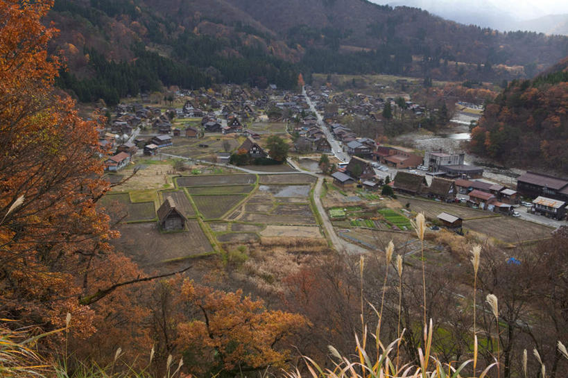 无人,家,横图,俯视,航拍,室外,白天,旅游,度假,美景,秋季,树林,植物,城市风光,城市,建筑,叶子,日本,亚洲,许多,阴影,光线,影子,房屋,屋子,景观,云,云朵,公寓,建筑群,枯叶,落叶,云彩,娱乐,建设,洋房,楼房,住宅,树,树木,红色,蓝色,绿色,白云,蓝天,天空,阳光,自然,天,享受,休闲,景色,放松,生长,晴朗,成长,鸟瞰,东亚,本州,本州岛,日本国,中部地方,岐阜,岐阜县,叶,叶片,晴空,秋,秋天,彩图,高角度拍摄,房子,大野郡,白川村