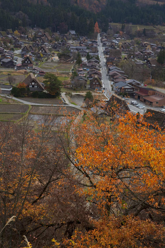 无人,家,竖图,俯视,航拍,室外,白天,旅游,度假,美景,秋季,树林,植物,城市风光,城市,建筑,叶子,日本,亚洲,许多,阴影,光线,影子,房屋,屋子,景观,云,云朵,公寓,建筑群,枯叶,落叶,云彩,娱乐,建设,洋房,楼房,住宅,树,树木,红色,蓝色,绿色,白云,蓝天,天空,阳光,自然,天,享受,休闲,景色,放松,生长,晴朗,成长,鸟瞰,东亚,本州,本州岛,日本国,中部地方,岐阜,岐阜县,叶,叶片,晴空,秋,秋天,彩图,高角度拍摄,房子,大野郡,白川村