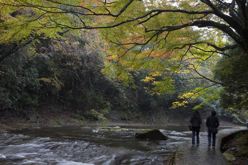 东方人,两个人,走,横图,室外,白天,爱情,旅游,度假,河流,美景,秋季,水,植物,道路,路,日本,亚洲,湍急,河水,景观,水流,小路,交通,千叶县,浪漫,黄种人,娱乐,树,树木,背面,绿色,自然,享受,休闲,温暖,温馨,景色,恩爱,放松,恋人,流动,乡间小路,生长,成长,和睦,自然风光,流淌,东亚,本州,关东地方,本州岛,日本国,千叶,男人,男性,年轻男性,年轻女性,女人,女性,亚洲人,情侣,秋,秋天,步行,散步,走路,彩图,全身,伴侣,融洽