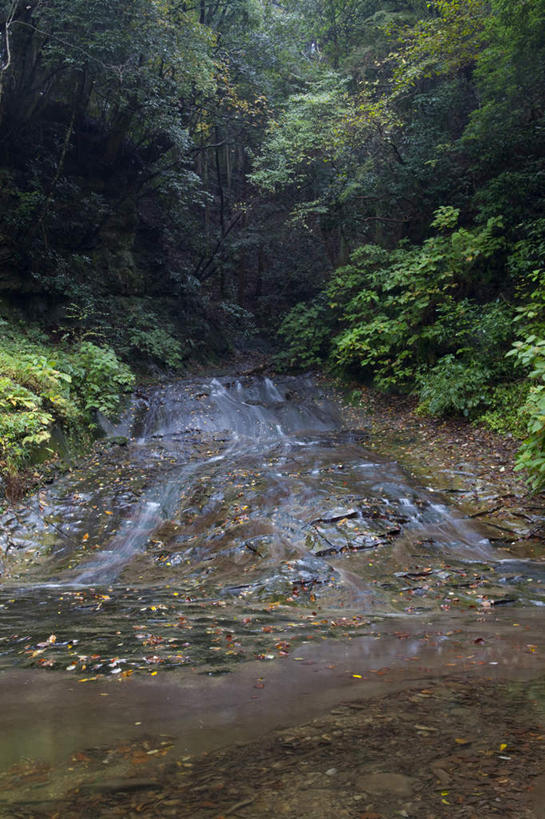 无人,竖图,俯视,室外,白天,旅游,度假,河流,美景,秋季,水,植物,日本,亚洲,湍急,河水,景观,水流,千叶县,娱乐,树,树木,绿色,自然,享受,休闲,景色,放松,流动,生长,成长,自然风光,流淌,东亚,本州,关东地方,本州岛,日本国,千叶,秋,秋天,彩图,高角度拍摄