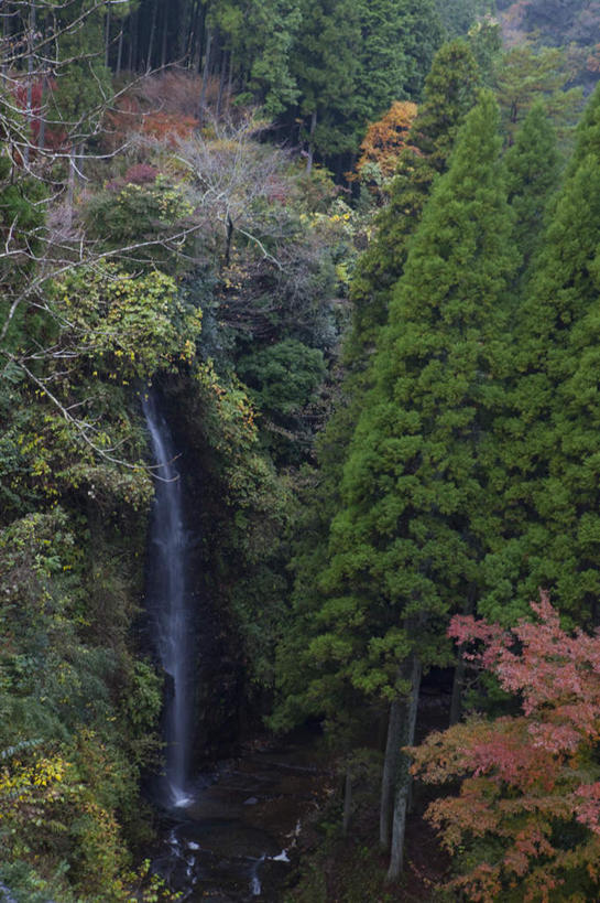 无人,竖图,俯视,室外,白天,旅游,度假,美景,瀑布,秋季,水,植物,叶子,日本,亚洲,许多,飞溅,湍急,溅,液体,景观,水滴,枯叶,落叶,千叶县,娱乐,水珠,树,树木,红色,绿色,自然,享受,休闲,景色,放松,流动,生长,成长,喷洒,自然风光,流淌,东亚,本州,关东地方,本州岛,日本国,千叶,叶,叶片,跌水,秋,秋天,彩图,高角度拍摄