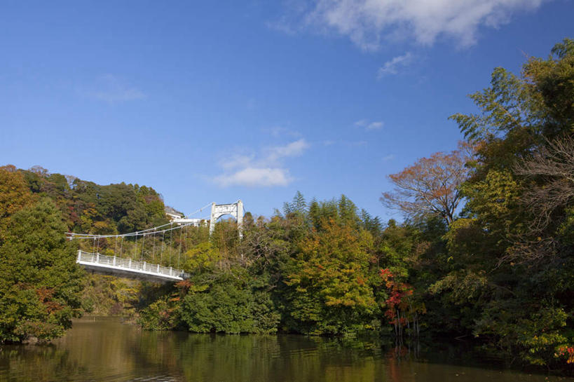 无人,横图,室外,白天,仰视,旅游,度假,湖,湖泊,美景,秋季,树林,水,植物,大桥,立交桥,桥梁,叶子,日本,亚洲,许多,波纹,湖面,景观,水流,水面,云,云朵,高架,斜拉桥,桥,枯叶,落叶,涟漪,千叶县,云彩,娱乐,树,树木,红色,蓝色,绿色,白云,蓝天,水纹,天空,自然,波浪,湖水,天,享受,休闲,景色,放松,生长,晴朗,成长,自然风光,东亚,本州,关东地方,本州岛,日本国,水晕,千叶,叶,叶片,晴空,秋,秋天,彩图,低角度拍摄