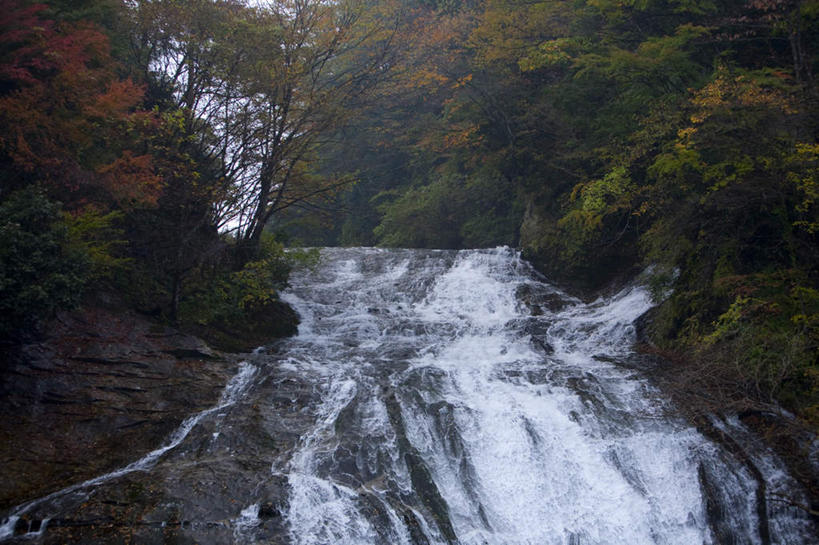 无人,横图,俯视,室外,白天,旅游,度假,美景,瀑布,秋季,水,植物,叶子,日本,亚洲,许多,飞溅,湍急,溅,液体,景观,水滴,枯叶,落叶,千叶县,娱乐,水珠,树,树木,红色,绿色,自然,享受,休闲,景色,放松,流动,生长,成长,喷洒,自然风光,流淌,东亚,本州,关东地方,本州岛,日本国,千叶,叶,叶片,跌水,秋,秋天,彩图,高角度拍摄