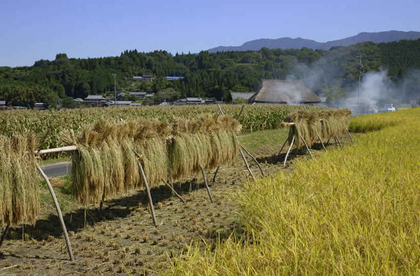 无人,家,农田,横图,室外,白天,正面,旅游,度假,农业,庄稼,农作物,石头,美景,山,山脉,树林,植物,道路,路,日本,亚洲,许多,阴影,电力,光线,电线,电线杆,石子,线,影子,房屋,屋子,稻田,景观,山顶,山峰,小路,电能,交通,山峦,线路,娱乐,楼房,住宅,树,树木,蓝色,绿色,白色,蓝天,天空,阳光,自然,群山,天,享受,休闲,烟,景色,放松,生长,晴朗,成长,电,电源,自然风光,能量,东亚,沉积岩,本州,万里无云,本州岛,日本国,中部地方,岐阜,岐阜县,颠峰,极峰,水成岩,石块,岩石,晴空,晴空万里,彩图,耕地,庄稼田,房子