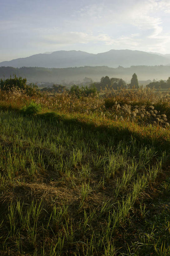 无人,家,农田,竖图,室外,白天,正面,旅游,度假,农业,庄稼,农作物,草原,湖,湖泊,石头,美景,山,山脉,树林,水,植物,日本,亚洲,一排,阴影,整齐,光线,石子,影子,房屋,屋子,稻田,湖面,景观,山顶,山峰,水流,水面,云,云朵,山峦,云彩,娱乐,楼房,住宅,树,树木,排列,蓝色,绿色,白云,蓝天,天空,阳光,自然,湖水,群山,天,享受,休闲,景色,放松,生长,晴朗,成长,队列,自然风光,东亚,沉积岩,本州,本州岛,日本国,中部地方,岐阜,岐阜县,颠峰,极峰,水成岩,石块,岩石,晴空,彩图,耕地,庄稼田,房子