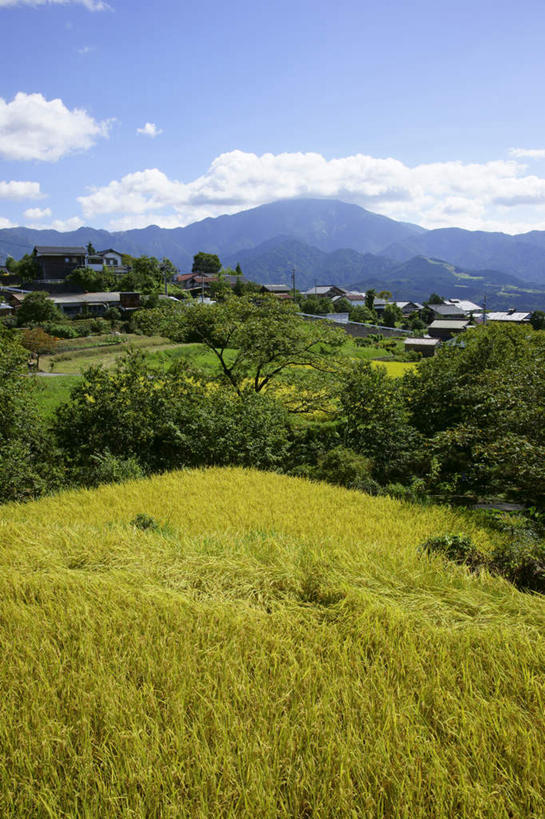 无人,家,农田,竖图,室外,白天,正面,旅游,度假,农业,庄稼,农作物,石头,美景,山,山脉,植物,日本,亚洲,许多,阴影,电力,光线,电线,电线杆,石子,线,影子,房屋,屋子,稻田,景观,山顶,山峰,云,云朵,电能,山峦,线路,云彩,娱乐,楼房,住宅,树,树木,蓝色,绿色,白云,蓝天,天空,阳光,自然,群山,天,享受,休闲,景色,放松,生长,晴朗,成长,电,电源,自然风光,能量,东亚,沉积岩,本州,本州岛,日本国,中部地方,岐阜,岐阜县,颠峰,极峰,水成岩,石块,岩石,晴空,彩图,耕地,庄稼田,房子
