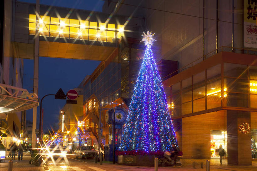 东方人,高楼大厦,横图,室外,夜晚,仰视,度假,美景,植物,城市风光,城市,大厦,道路,建筑,路,路灯,摩天大楼,商场,夜景,汽车,日本,圣诞节,亚洲,三辆,阴影,节日,庆祝,装饰,光线,路标,影子,景观,建筑群,小路,灯光,圣诞树,交通,许多人,黄种人,文化,娱乐,建设,车,树,树木,一个,蓝色,绿色,蓝天,天空,自然,交通工具,轿车,天,一群人,庆典,享受,休闲,景色,放松,生长,单个,成长,纪念,华丽,修饰,点缀,载具,东亚,本州,本州岛,日本国,中部地方,福井,福井县,衬托,美观,雅致,雅观,男人,男性,年轻男性,年轻女性,女人,女性,亚洲人,半身,彩图,低角度拍摄,大楼,高层建筑,高楼,摩天楼