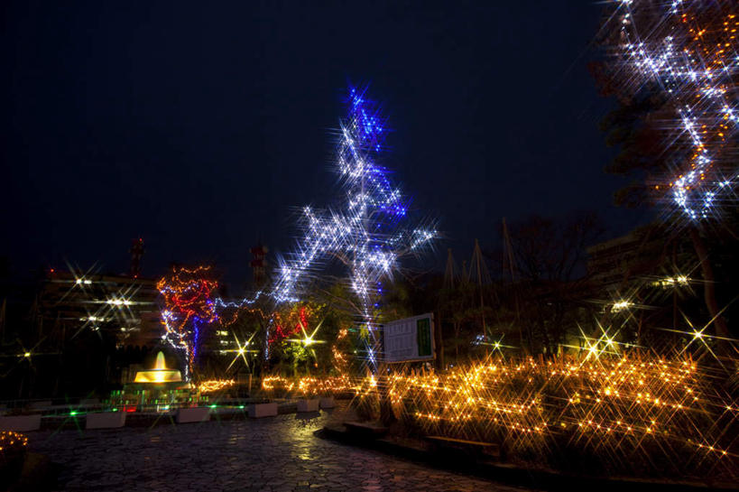 无人,家,高楼大厦,栏杆,横图,室外,夜晚,正面,度假,美景,植物,城市风光,城市,大厦,道路,建筑,路,摩天大楼,夜景,日本,亚洲,一座,许多,阴影,装饰,光线,信息,花坛,影子,栅栏,房屋,屋子,景观,篱笆,公寓,建筑群,围栏,小路,灯光,灯塔,交通,方向,娱乐,建设,洋房,护栏,楼房,路牌,住宅,树,树木,一个,蓝色,绿色,蓝天,天空,自然,天,享受,休闲,景色,放松,生长,单个,成长,引导,指引,华丽,修饰,点缀,东亚,两座,本州,本州岛,日本国,中部地方,福井,福井县,衬托,美观,雅致,雅观,航标,彩图,房子,大楼,高层建筑,高楼,摩天楼,导航