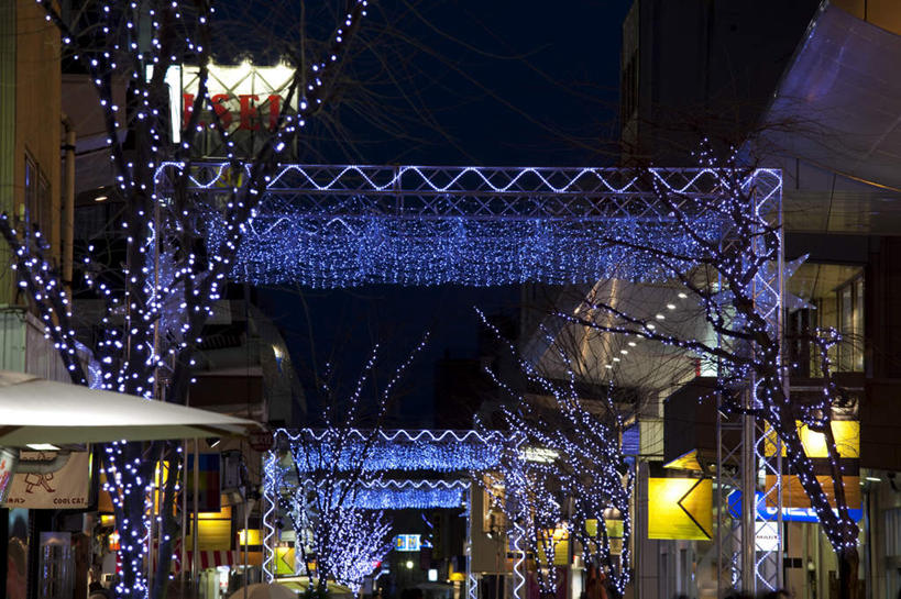 东方人,高楼大厦,横图,室外,夜晚,仰视,度假,幸福,纯洁,美景,植物,城市风光,标志建筑,城市,大厦,地标,建筑,摩天大楼,商场,夜景,自行车,樱花,日本,圣诞节,亚洲,许多,阴影,节日,庆祝,装饰,光线,日文,标志,文字,影子,字符,景观,建筑群,灯光,许多人,黄种人,文化,娱乐,标识,建设,车,脚踏车,树,树木,蓝色,绿色,蓝天,天空,自然,交通工具,天,一群人,庆典,享受,休闲,景色,放松,生长,成长,等待,纪念,华丽,修饰,点缀,生命,载具,东亚,本州,本州岛,日本国,石川,石川县,中部地方,日语,衬托,美观,雅致,雅观,仙樱花,福岛樱,青肤樱,高尚,热烈,男人,男性,年轻男性,年轻女性,女人,女性,亚洲人,荆桃,半身,彩图,低角度拍摄,大楼,高层建筑,高楼,摩天楼