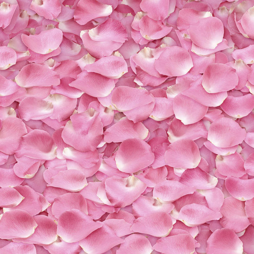 无人,方图,插画,室内,白天,正面,爱情,幸福,纯洁,热情,数码,科技,玫瑰,一堆,许多,阴影,堆叠,堆积,盛开,网络,玫瑰花,高光,几何,计算机图形,浪漫,合成,花蕾,图画,画,花,花瓣,花朵,鲜花,排列,粉色,花苞,花蕊,温暖,温馨,恩爱,堆,电脑合成图,数码合成图,和睦,队列,感动,漫画,写实,具体,具象,尊敬,天真,刺玫花,徘徊花,墙纸,彩图,融洽