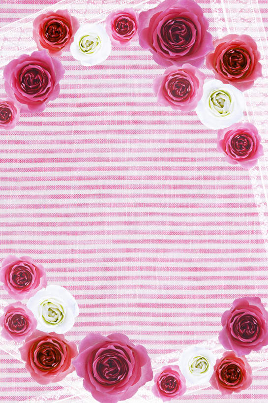 无人,竖图,插画,室内,白天,正面,爱情,幸福,纯洁,热情,数码,科技,玫瑰,许多,阴影,粉色背景,条纹,散落,盛开,网络,方格,格子,玫瑰花,高光,几何,计算机图形,浪漫,合成,花蕾,图画,画,花,花瓣,花朵,鲜花,排列,红色,紫色,白色,花苞,花蕊,温暖,温馨,恩爱,电脑合成图,数码合成图,和睦,队列,感动,漫画,写实,具体,具象,尊敬,天真,刺玫花,徘徊花,墙纸,彩图,融洽