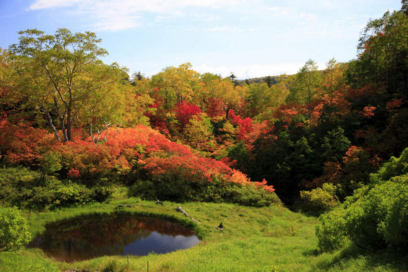 无人,横图,室外,白天,正面,旅游,度假,湖,湖泊,石头,美景,秋季,山,山脉,树林,水,植物,北海道,日本,亚洲,阴影,光线,石子,影子,湖面,景观,山顶,山峰,水流,水面,云,云朵,山峦,云彩,娱乐,树,树木,黄色,红色,蓝色,绿色,白云,蓝天,天空,阳光,自然,湖水,群山,天,享受,休闲,景色,放松,生长,晴朗,成长,自然风光,东亚,沉积岩,日本国,北海道地方,北海道岛,道北,颠峰,极峰,水成岩,石块,岩石,晴空,秋,秋天,彩图,上川支厅