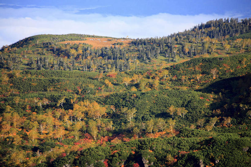 无人,横图,室外,白天,仰视,旅游,度假,石头,美景,秋季,山,山脉,树林,植物,北海道,日本,亚洲,一排,阴影,整齐,光线,石子,影子,景观,山顶,山峰,云,云朵,山峦,云彩,娱乐,树,树木,排列,黄色,红色,蓝色,绿色,白云,蓝天,天空,阳光,自然,群山,天,享受,休闲,景色,放松,生长,晴朗,成长,队列,自然风光,东亚,沉积岩,日本国,北海道地方,北海道岛,道北,颠峰,极峰,水成岩,石块,岩石,晴空,秋,秋天,彩图,低角度拍摄,上川支厅