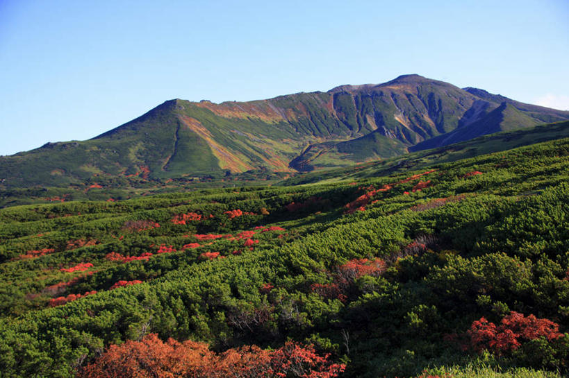 无人,横图,俯视,室外,白天,旅游,度假,石头,美景,秋季,山,山脉,树林,植物,北海道,日本,亚洲,一排,阴影,整齐,光线,石子,影子,景观,山顶,山峰,山峦,娱乐,树,树木,排列,黄色,红色,蓝色,绿色,蓝天,天空,阳光,自然,群山,天,享受,休闲,景色,放松,生长,晴朗,成长,队列,自然风光,东亚,沉积岩,万里无云,日本国,北海道地方,北海道岛,道北,颠峰,极峰,水成岩,石块,岩石,晴空,晴空万里,秋,秋天,彩图,高角度拍摄,上川支厅
