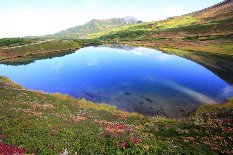 无人,横图,俯视,室外,白天,旅游,度假,草地,草坪,湖,湖泊,花海,花圃,石头,美景,山,山脉,水,植物,叶子,北海道,日本,亚洲,阴影,盛开,光线,石子,影子,湖面,景观,山顶,山峰,水流,水面,云,云朵,山峦,花蕾,云彩,娱乐,草,花,花瓣,花朵,花卉,鲜花,树,树木,蓝色,绿色,白云,蓝天,天空,阳光,自然,湖水,花丛,花束,花田,群山,天,花苞,花蕊,享受,休闲,景色,放松,生长,晴朗,成长,自然风光,东亚,沉积岩,日本国,北海道地方,北海道岛,道北,颠峰,极峰,水成岩,石块,岩石,晴空,彩图,高角度拍摄,上川支厅