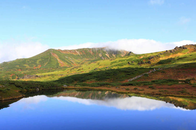 无人,横图,室外,白天,正面,旅游,度假,草地,草坪,湖,湖泊,花海,花圃,石头,美景,山,山脉,水,植物,叶子,北海道,日本,亚洲,阴影,盛开,光线,石子,影子,湖面,景观,山顶,山峰,水流,水面,云,云朵,山峦,花蕾,云彩,娱乐,草,花,花瓣,花朵,花卉,鲜花,树,树木,蓝色,绿色,白云,蓝天,天空,阳光,自然,湖水,花丛,花束,花田,群山,天,花苞,花蕊,享受,休闲,景色,放松,生长,晴朗,成长,自然风光,东亚,沉积岩,日本国,北海道地方,北海道岛,道北,颠峰,极峰,水成岩,石块,岩石,晴空,彩图,上川支厅