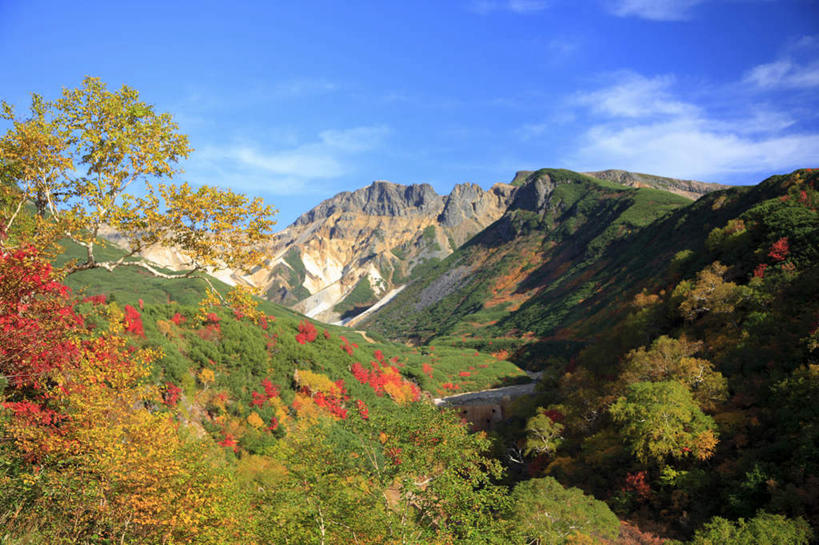 无人,横图,室外,白天,正面,旅游,度假,河流,石头,美景,秋季,山,山脉,树林,水,植物,北海道,日本,亚洲,阴影,光线,石子,影子,河水,景观,山顶,山峰,水流,云,云朵,山峦,云彩,娱乐,树,树木,黄色,红色,蓝色,绿色,白云,蓝天,天空,小溪,阳光,自然,群山,天,溪水,享受,休闲,景色,放松,生长,晴朗,成长,自然风光,东亚,沉积岩,日本国,北海道地方,北海道岛,道北,颠峰,极峰,水成岩,石块,岩石,晴空,秋,秋天,彩图,上川支厅