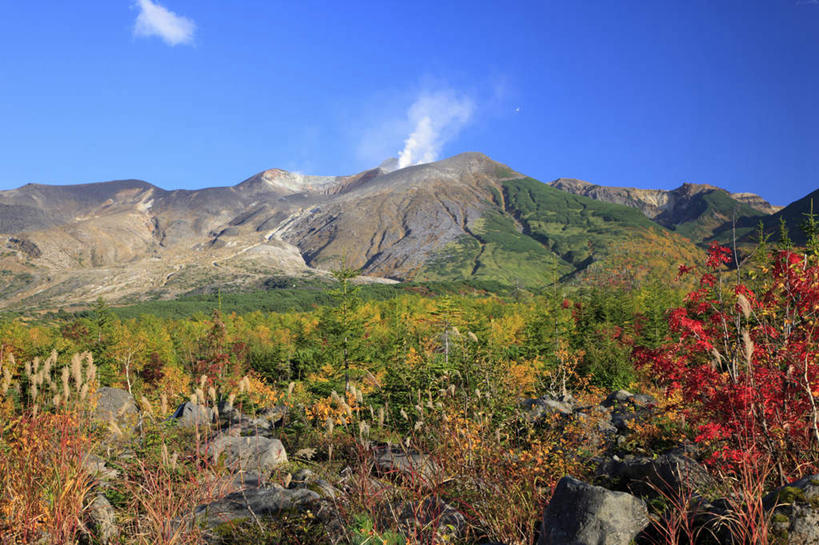 无人,横图,室外,白天,正面,旅游,度假,石头,美景,秋季,山,山脉,树林,植物,北海道,日本,亚洲,阴影,光线,石子,影子,景观,山顶,山峰,云,云朵,山峦,云彩,娱乐,树,树木,黄色,红色,蓝色,绿色,白云,蓝天,天空,阳光,自然,群山,天,享受,休闲,景色,放松,生长,晴朗,成长,自然风光,东亚,沉积岩,日本国,北海道地方,北海道岛,道北,颠峰,极峰,水成岩,石块,岩石,晴空,秋,秋天,彩图,上川支厅