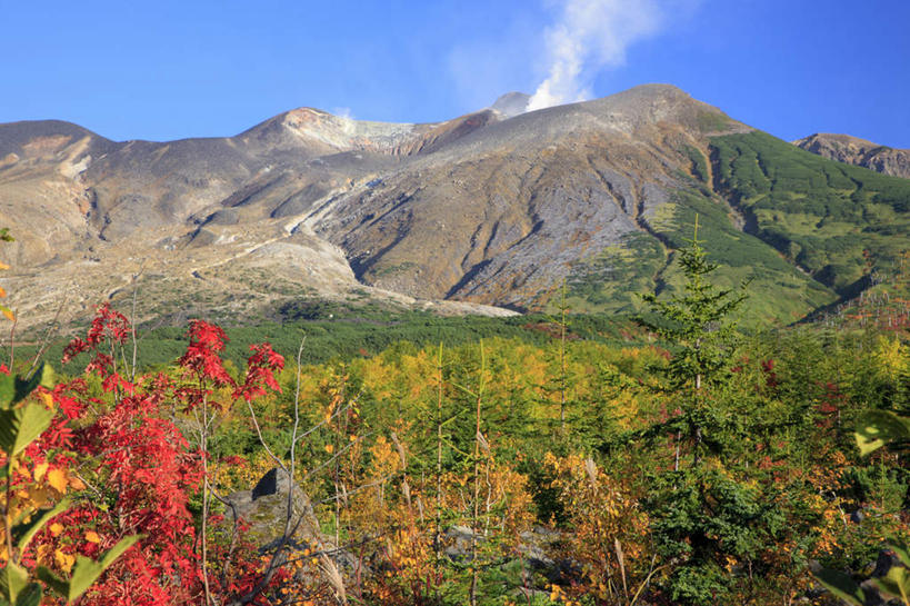 无人,横图,俯视,室外,白天,旅游,度假,石头,美景,秋季,山,山脉,树林,植物,北海道,日本,亚洲,许多,阴影,光线,石子,影子,景观,山顶,山峰,云,云朵,山峦,云彩,娱乐,树,树木,树枝,黄色,红色,蓝色,绿色,白云,蓝天,天空,阳光,自然,群山,天,享受,休闲,景色,放松,生长,晴朗,成长,自然风光,东亚,沉积岩,日本国,北海道地方,北海道岛,道北,颠峰,极峰,水成岩,石块,岩石,晴空,秋,秋天,彩图,高角度拍摄,上川支厅